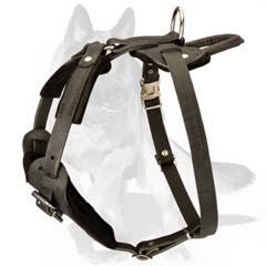 Dog Harness with Soft Chest Plate