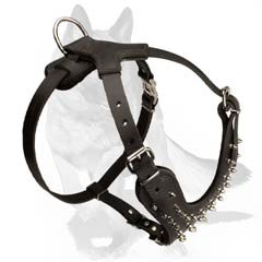 Padded Harness for Extra Comfort