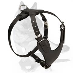 Y-shaped chest plate Harness