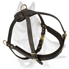 Adjustable multipurpose Dog Harness