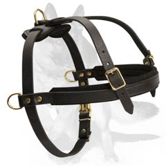 Leather Dog Harness with brass fasteners
