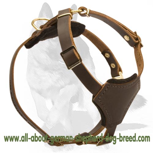 Small Leather Dog Harness for German Shepherd puppy [H21070 Small
