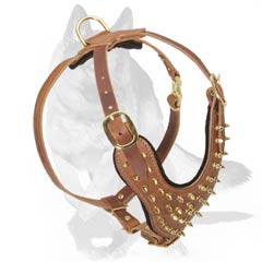 Spiked Harness with wide Straps
