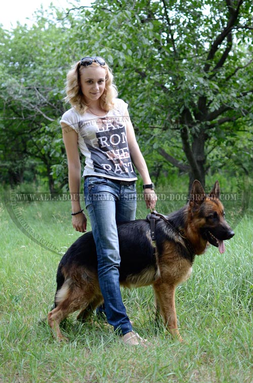 Perfect German Shepherd Dog Harness fully Padded