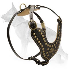 Brass Decorated Harness for Walking