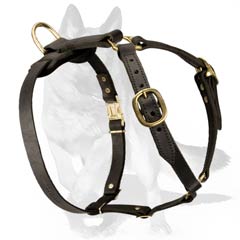 Tracking/Walking Dog Harness