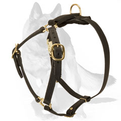 Strong and safe Dog Harness