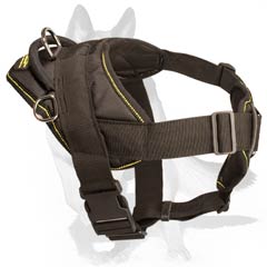 Harness with cushion-like chest plate