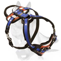 Dog Harness with Quick release buckle