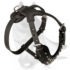 Stylish Harness of fulll grain leather
