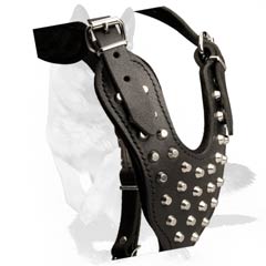 Amazing Dog Harness with nickel plated Hardware