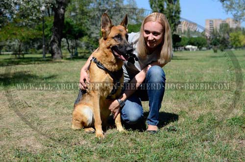 Perfect German Shepherd Dog Harness of Leather
