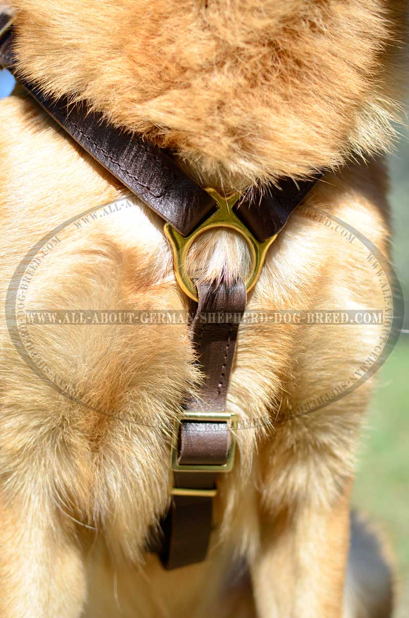 Exclusive Luxury Handcrafted Leather Dog 【Harness】 : German Shepherd Breed: Dog  harnesses, Muzzles, Collars, Leashes