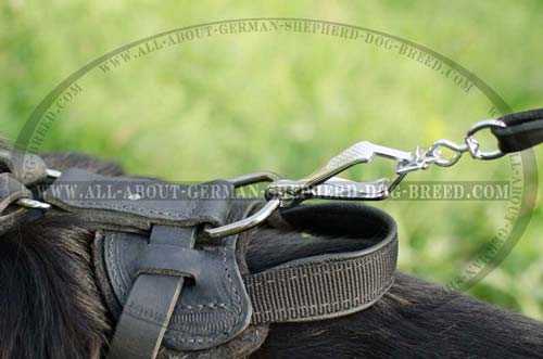 Convenient Handle for Leather Harness for German Shepherd