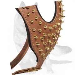 Harness Padded for Best Comfort