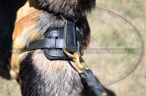 Exclusive Leather Dog Harness