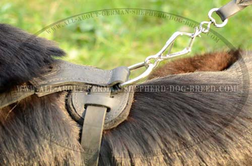 Exclusive Dog Harness for walk and training