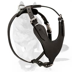 Dog Harness for Everyday walking