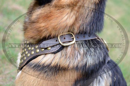 Comfortable Dog Harness with thick and wide straps