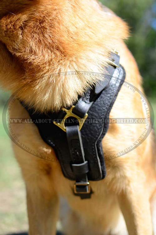 German Shepherd Dog Harness with Padding