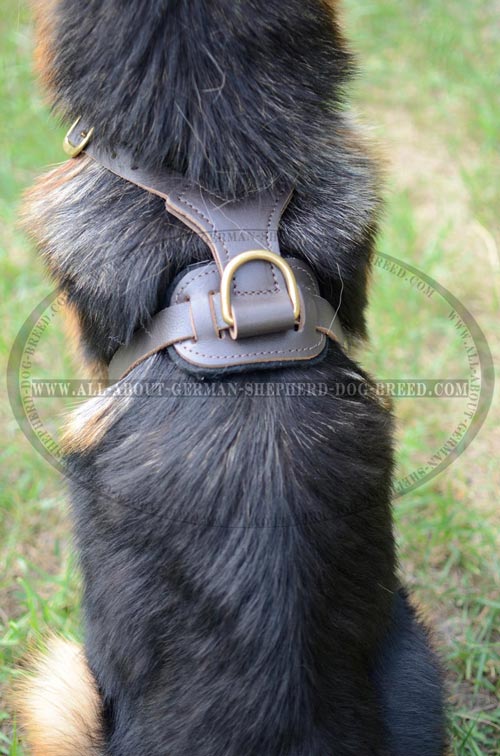 Perfect German Shepherd Dog Harness fully Padded