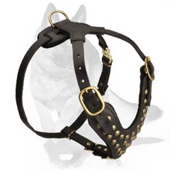 Dog Harness Properly riveted and stitched