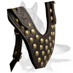 Dog Harness with Y-shaped breast plate
