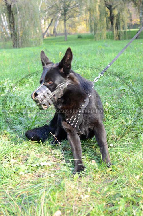 Spiked German Shepherd Dog Harness Padded inside