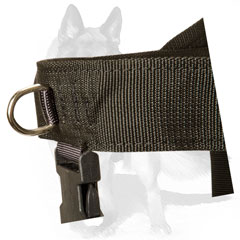 Nylon dog harness for any weather