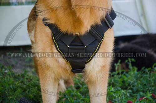 Multifunctional nylon harness for German Shepherd