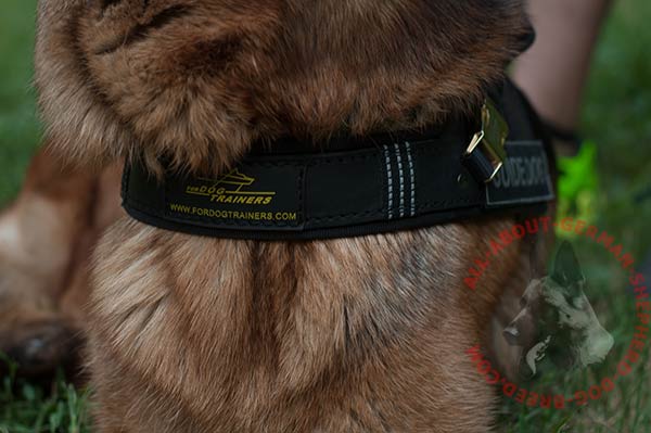 Leather German Shepherd harness - 2 ply front strap