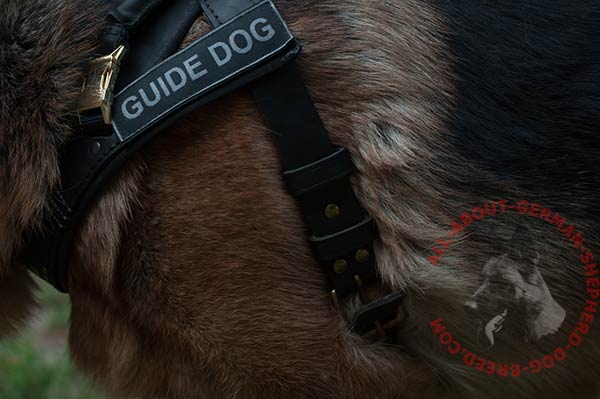 Comfortable leather German Shepherd harness with removable patches