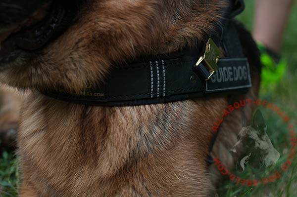Reliable leather German Shepherd harness with buckles for handle fixing