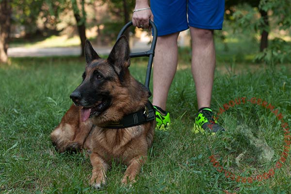 Leather canine harness for German Shepherd service dogs