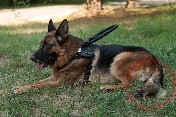 Guide and assistance leather dog harness for German Shepherd