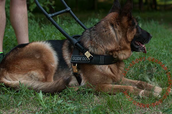 Guide leather dog harness for German Shepherd