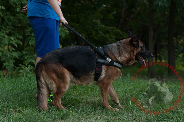 Guide and assistance nylon German Shepherd harness