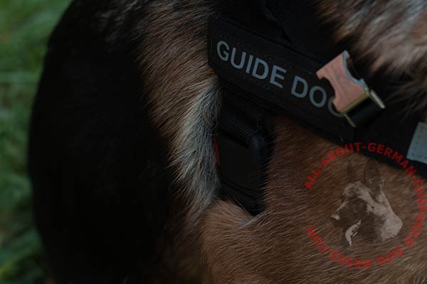 Nylon German Shepherd harness with removable ID patches