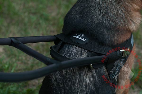 Reliable nylon German Shepherd harness with long and short handles