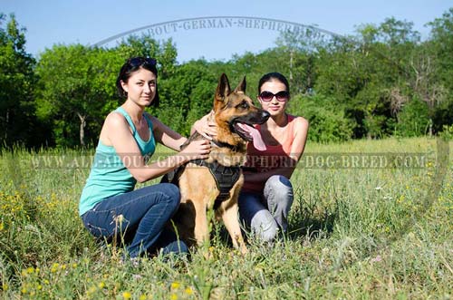 German Shepherd Nylon Harness for Daily Training