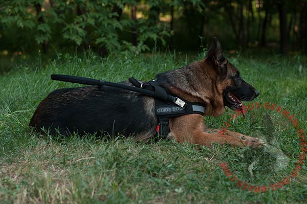 Nylon canine harness for German Shepherd with nickel plated buckles