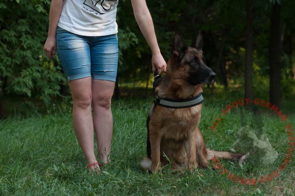 Lightweight nylon dog harness for German Shepherd with reflective trim and handle