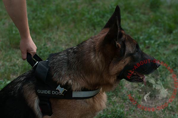 Water proof nylon dog harness for German Shepherd with easy grip handle