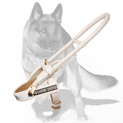 White leather dog harness for fashionable walking