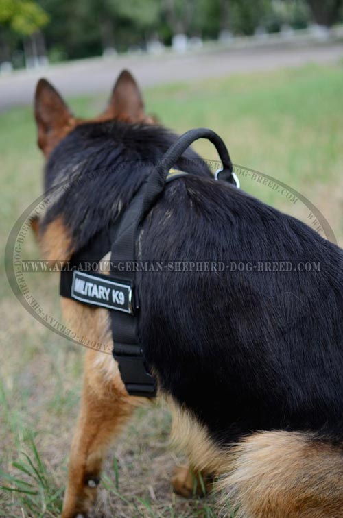 Super comfortable nylon dog harness