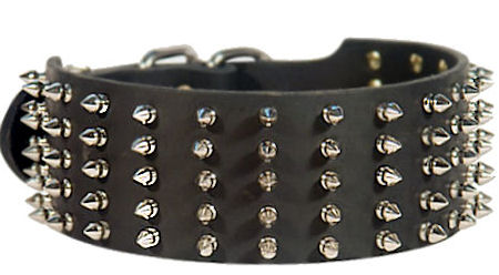 Spiked Leather Dog Collar for German Shepherd