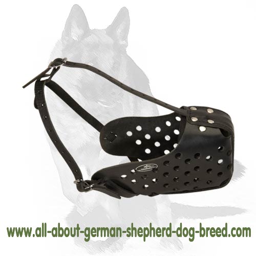 'Echelon' - German Shepherd Dog Leather Basket Muzzle
