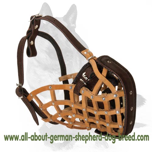 'Pimp my Walk' Attack Training Leather Basket Muzzle for German Shepherd
