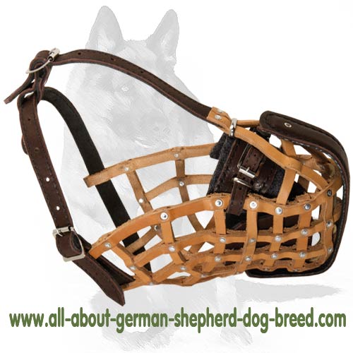 'Pimp my Walk' Attack Training Leather Basket Muzzle for German Shepherd