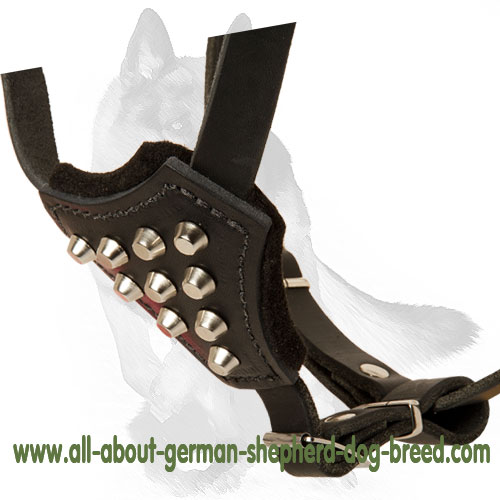 German Shepherd Studded Dog Harness for Fashionable Puppies